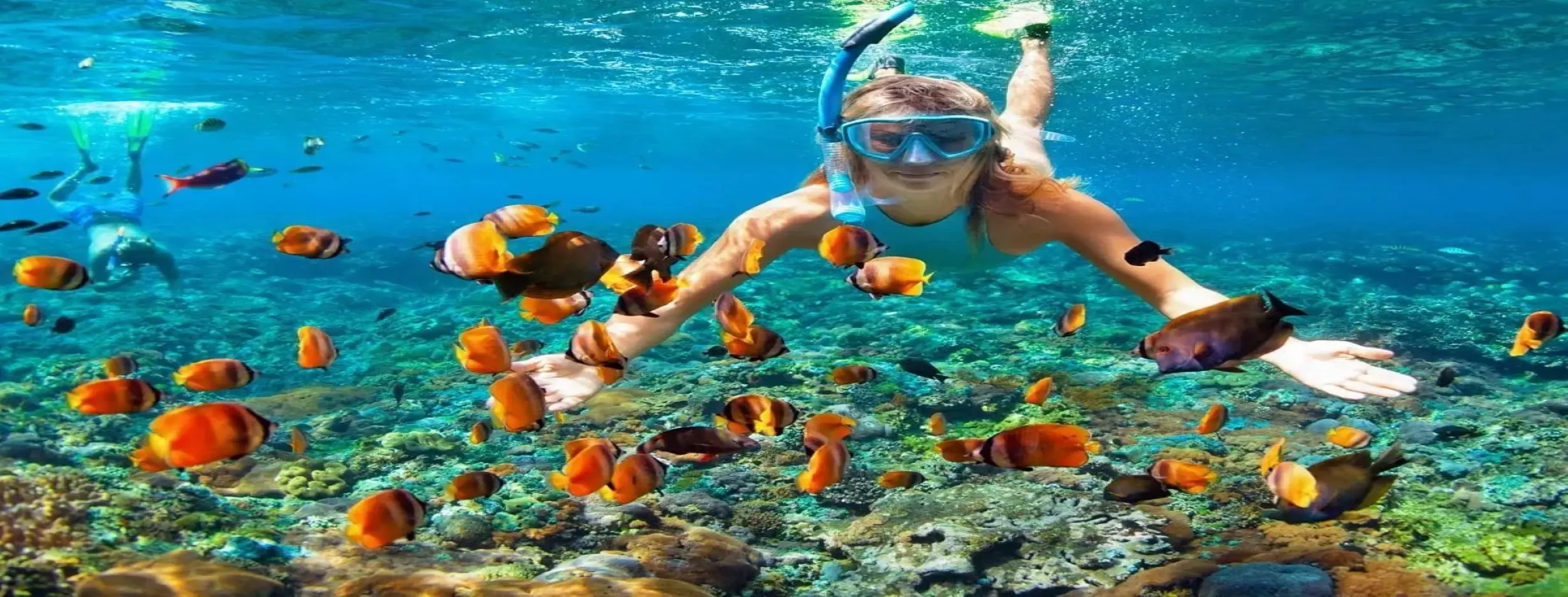 Image for Snorkeling Bliss